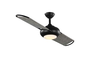 Fan.