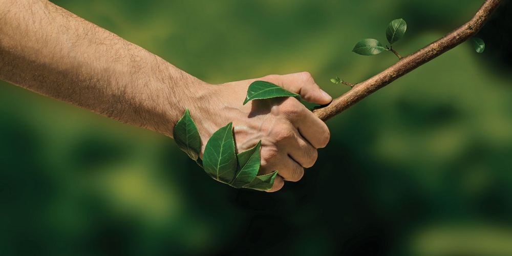 iStock_72470153_XXXLARGE.jpg