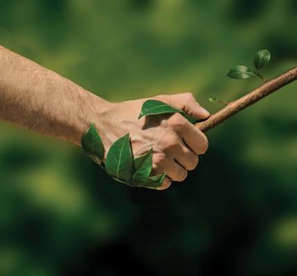 International Climate Agreement Officially Ratified