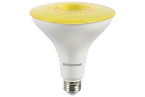 Sylvania's Lamp_2