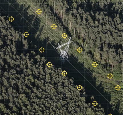 A Fine Tree Line 