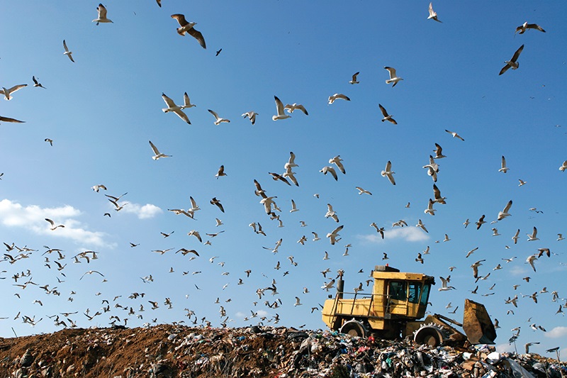 landfill_trash_garbage_iStock_000013885952Large.jpg