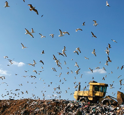 New Process To Capture Energy From Trash 
