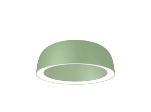 Eureka Lighting’s Twin Luminaire