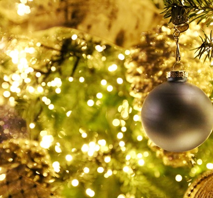 How to Deck the Halls, Safely