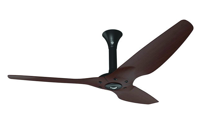 Big Ass Fan