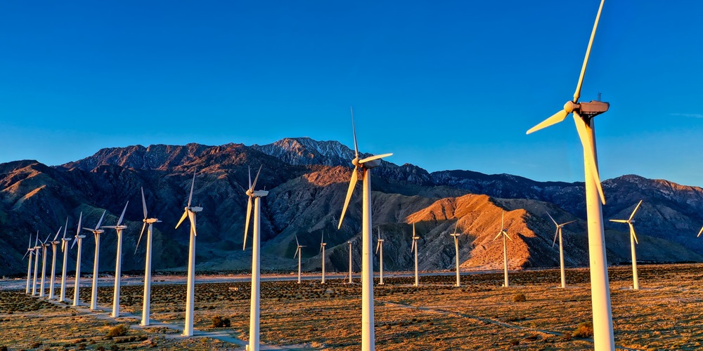 Rows of wind turbines in a field, with mountains in the background