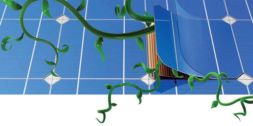 shitterstock / iarmenko sergii / higyou