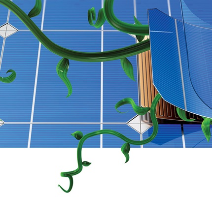 Growing Green: Green technology is increasing by leaps and bounds 