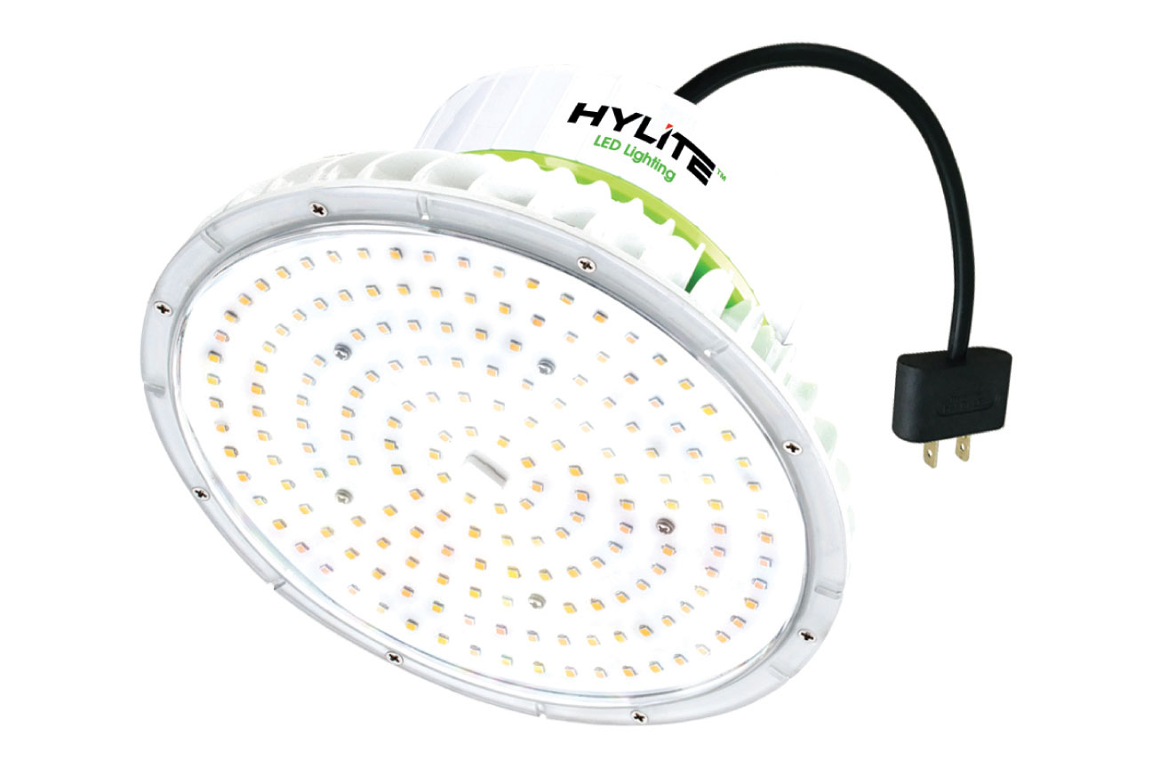 HyLite's LED Lotus Lamp