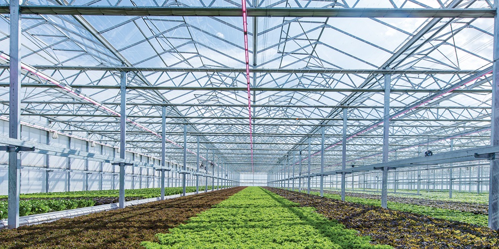 Agrilyst Inc., a Brooklyn, N.Y.-based software company servicing this market, sees indoor farming as “one of the fastest growing industries in the United States.” LEDs will be instrumental.