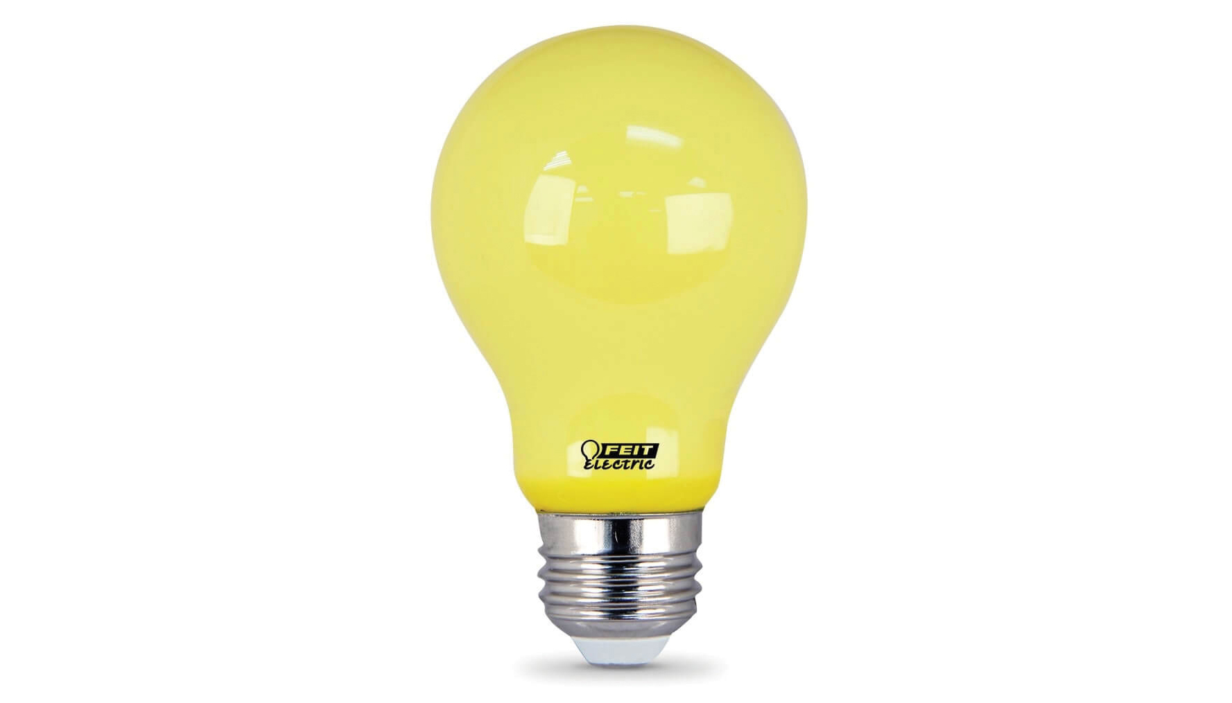 0818_FeitElectric.jpg