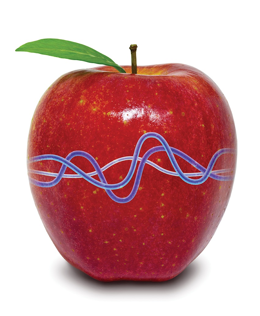 apple__fruit_think_138069802.jpg