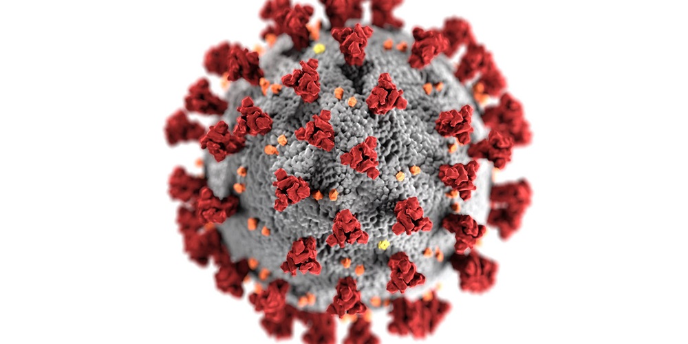 Coronavirus