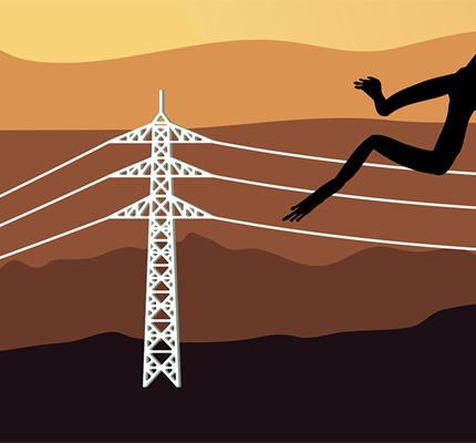 Leapfrogging Over Poles and Wires: Decentralization, Decarbonization and Digitization