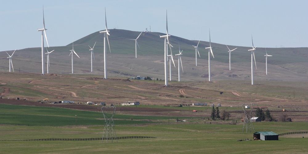 Wind_farm_7966.jpg