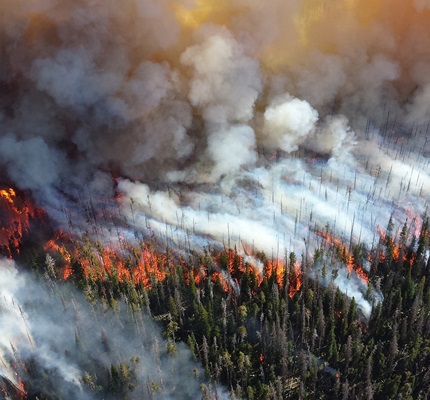 PG&E Releases Some Details on Camp Fire Cause