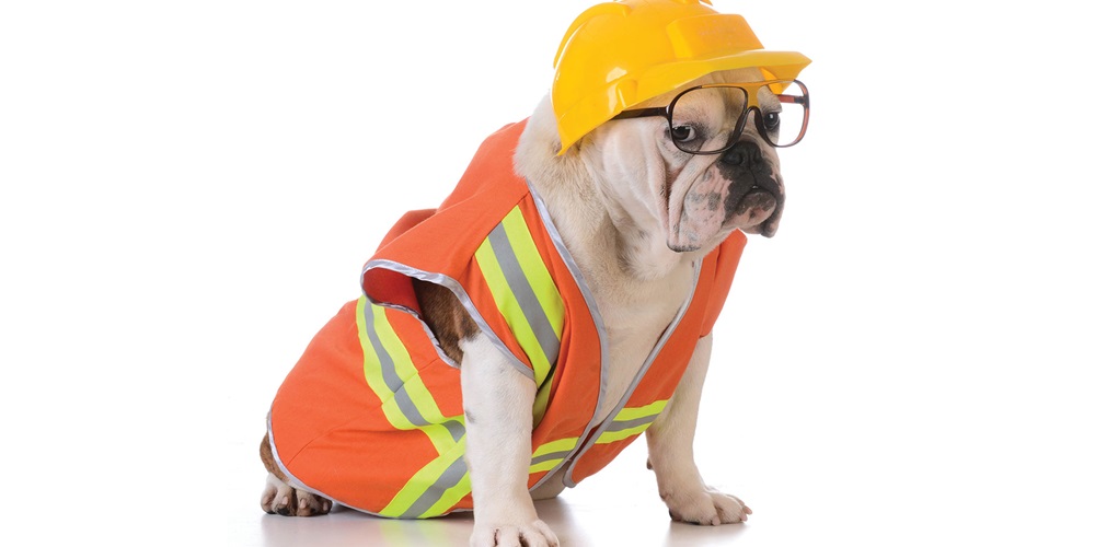 yourbiz_shutterstock_268697993.jpg