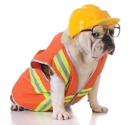 New Tricks for Old Dogs: Find time to learn new skills for a great ROI in your career 