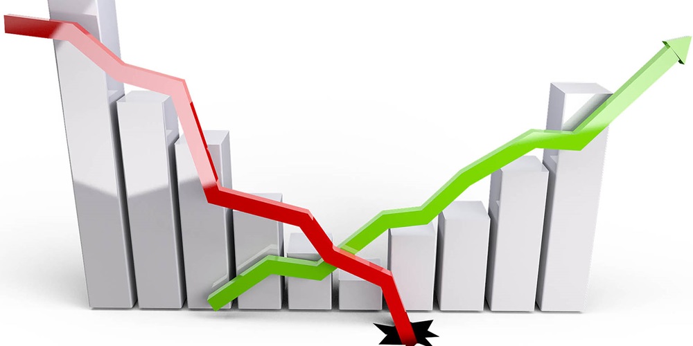 Growth showing increasing and decreasing growth.