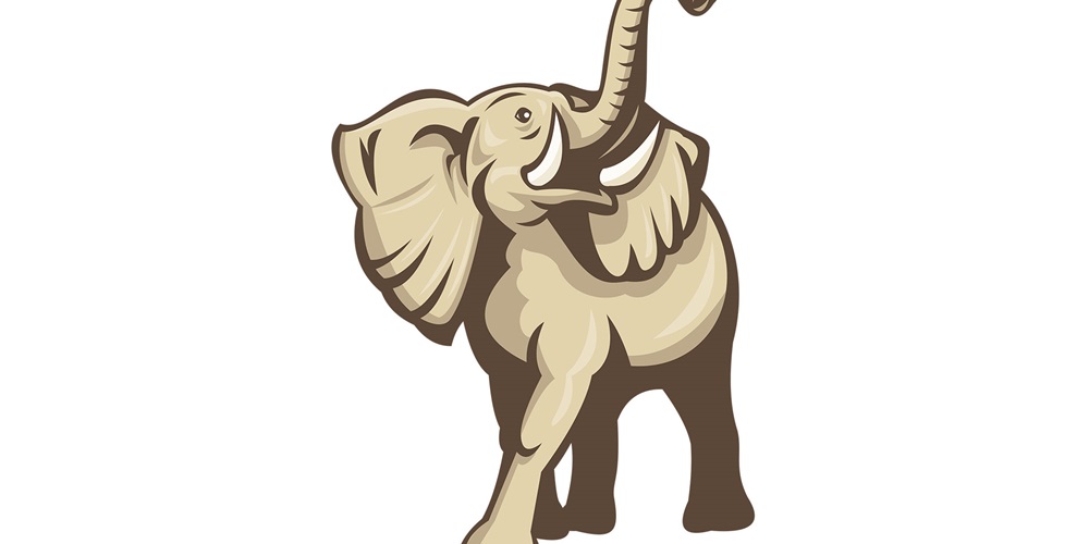 Elephant with raised trunk