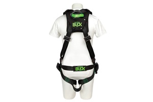 Buckingham Harness