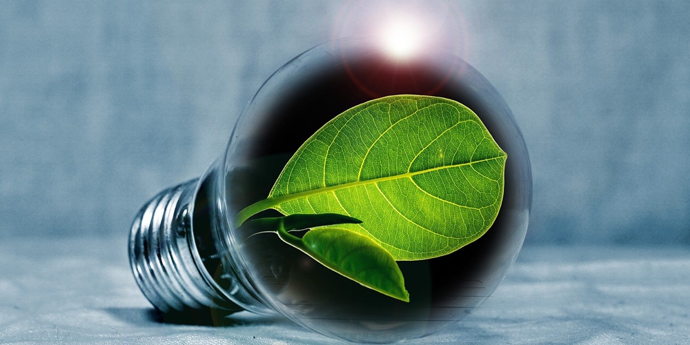 A leaf growing inside a lightbulb