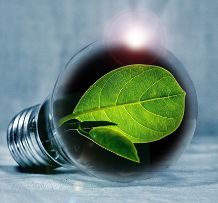 A leaf growing inside a lightbulb