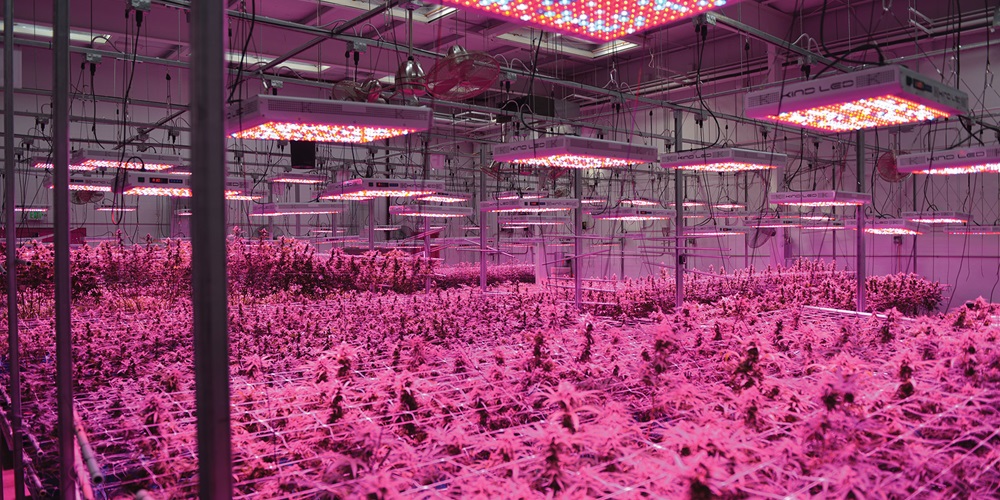 Grow houses