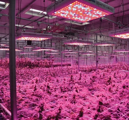 Energy Hogs: Utilities Shine A Light on Pot Growers' Energy Use