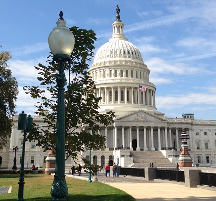 The Omnibus Spending Bill Is Good News for Electrical Contractors
