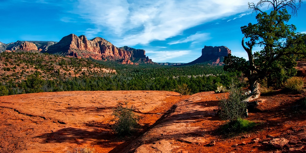 Arizona Desert Image by David Mark from Pixabay