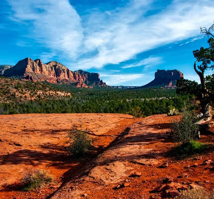 Fatalities Bring Temporary Stop to Shutoffs in Arizona 
