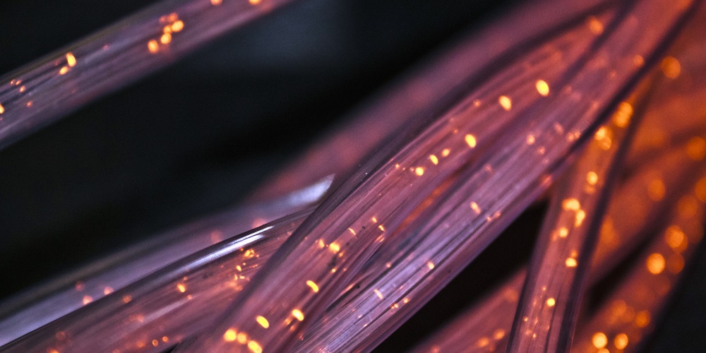 fiber-4814456_1920.jpg