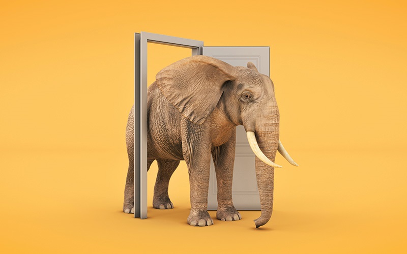 The Incorporation by Reference Clause: The elephant marches through the back door