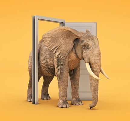 The Incorporation by Reference Clause: The elephant marches through the back door