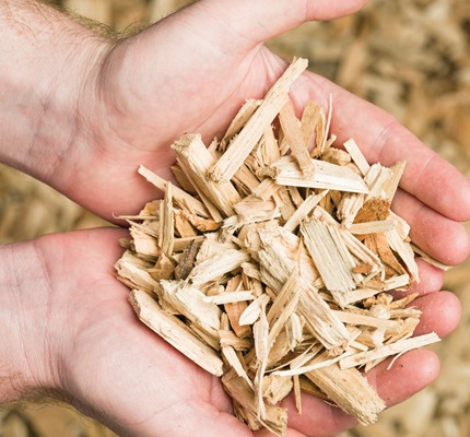 Minnesota Power Plant Recycles Storm Debris For Fuel 