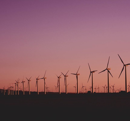Amidst Pandemic, Global Energy Demand Projected to Fall But Renewable Energy Experiences Growth