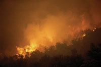 Air Quality from Canadian Wildfires Prompts Industry Response