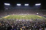 Under the Lights
