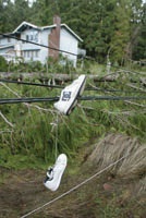 Storms Create Massive Power Outages
