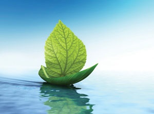 Exploring Uncharted Waters