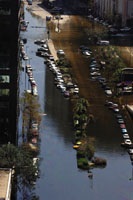 01 Katrina_sm.jpg