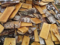 Progress Energy Florida Signs Contract for Renewable Energy from Biomass Pland