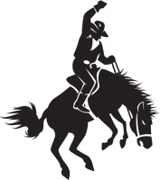 Cowboy_ULTRA_GENERIC_no_rope_ist.jpg