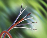 Distributors Provide Supply on Demand
