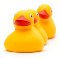 Getting Your Ducts In a Row