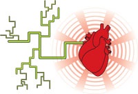 The Heart of the System