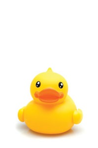 If it Looks Like a Duck ...