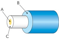 Quiz-fiber-abc1.jpg